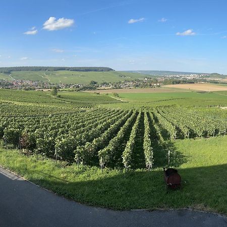Вілла Au Coeur Du Terroir Champenois Chavot-Courcourt Екстер'єр фото