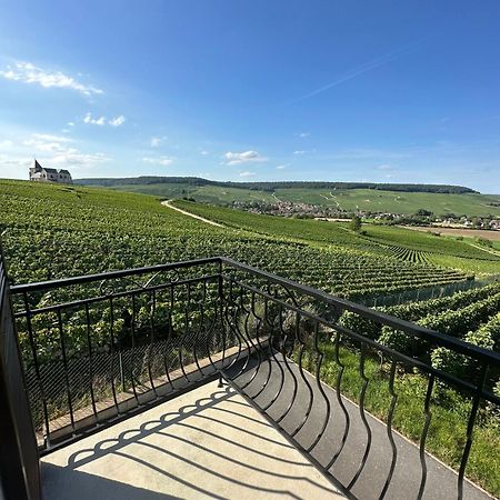 Вілла Au Coeur Du Terroir Champenois Chavot-Courcourt Екстер'єр фото