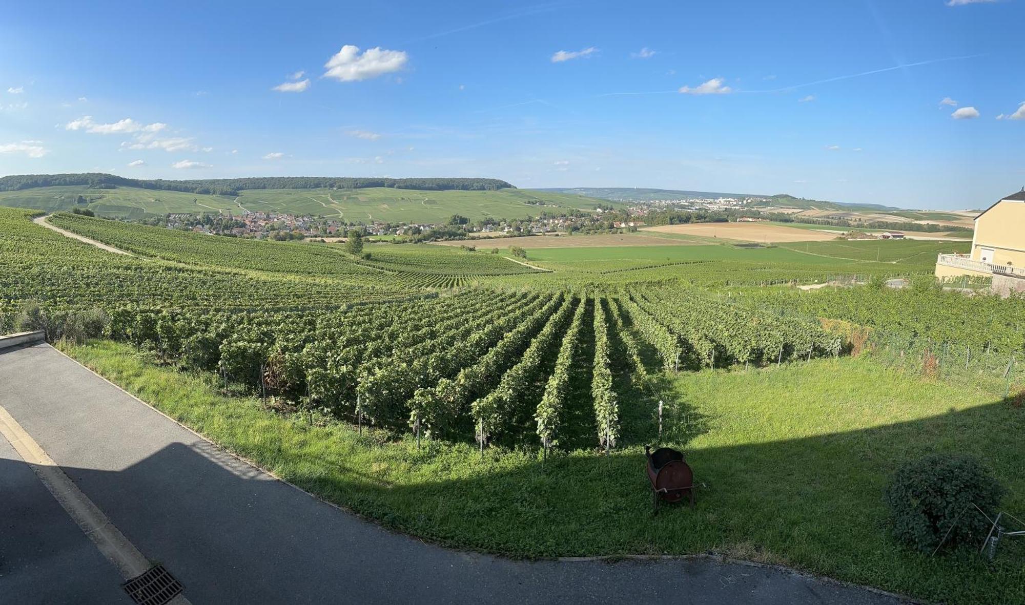 Вілла Au Coeur Du Terroir Champenois Chavot-Courcourt Екстер'єр фото