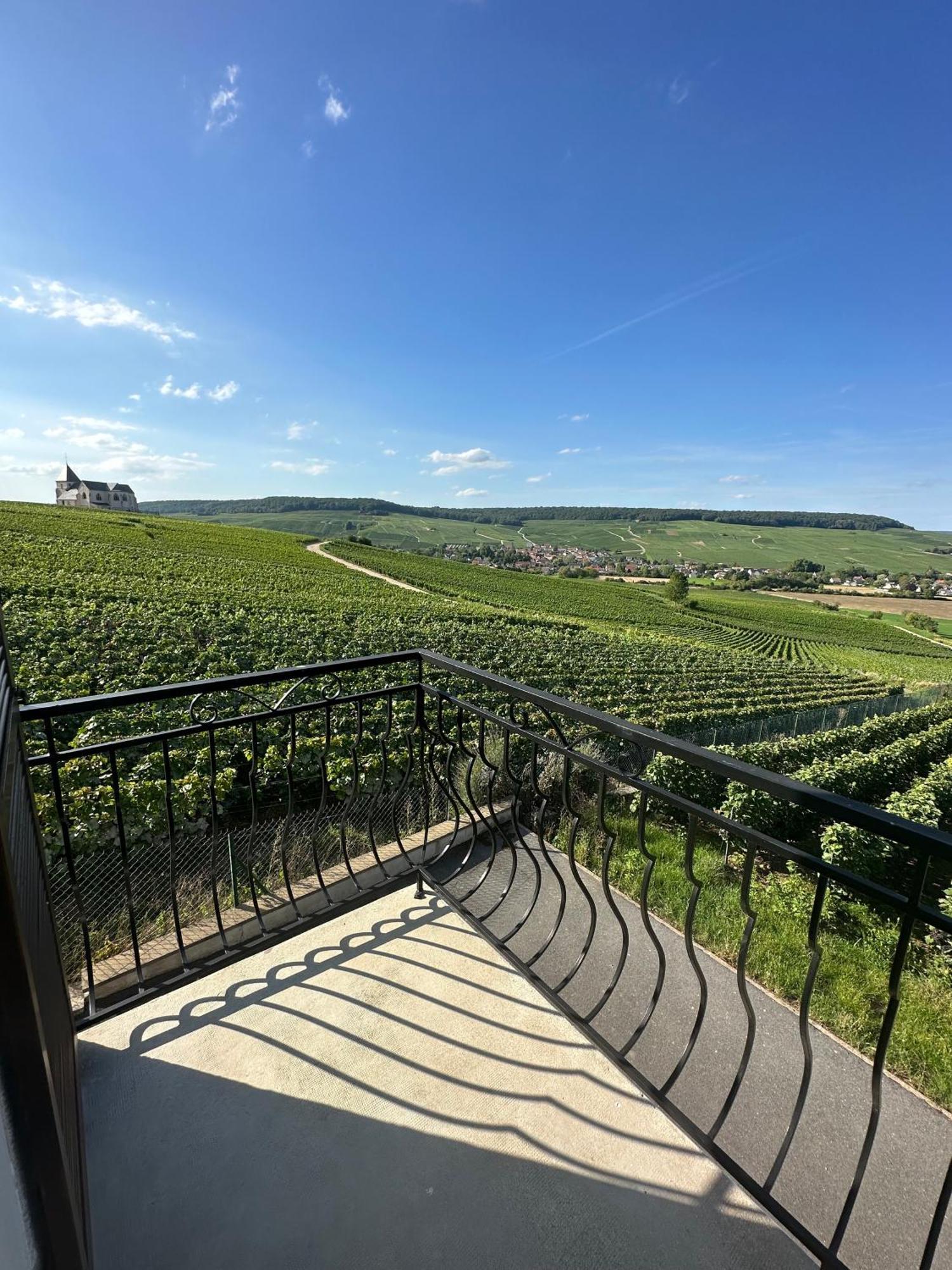 Вілла Au Coeur Du Terroir Champenois Chavot-Courcourt Екстер'єр фото