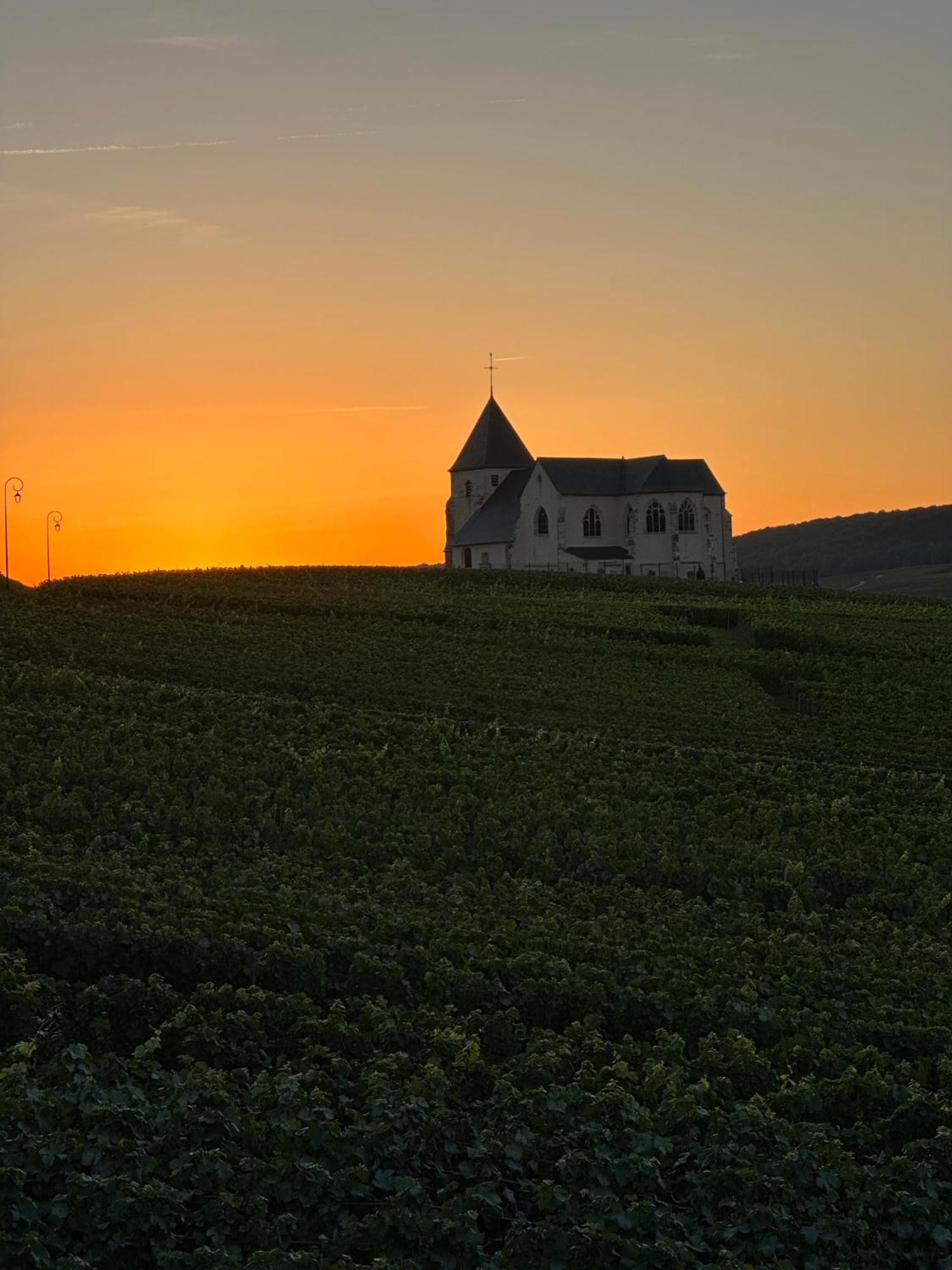 Вілла Au Coeur Du Terroir Champenois Chavot-Courcourt Екстер'єр фото